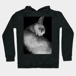 A licking cat in black and white Hoodie